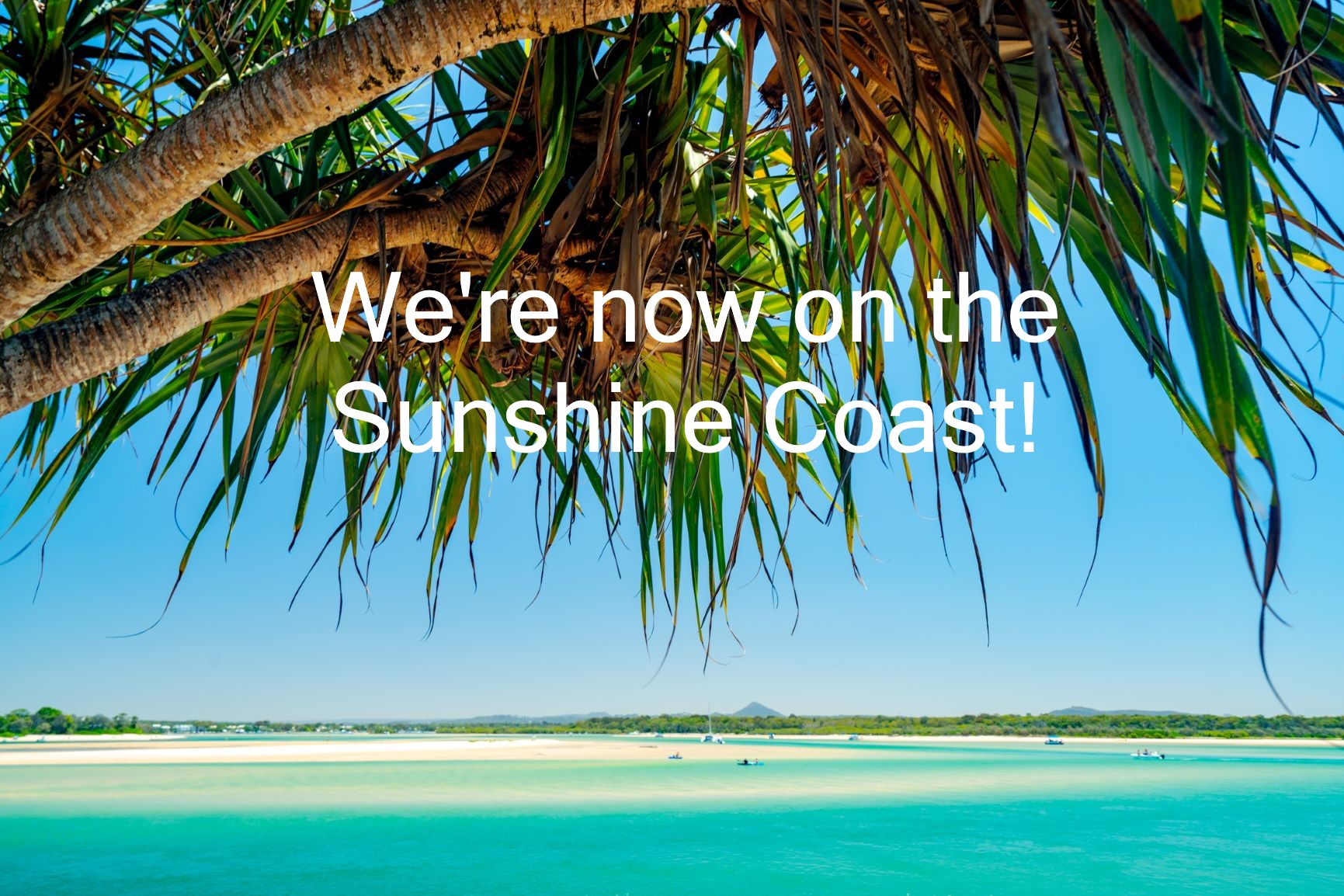 BAL opens office on the Sunshine Coast